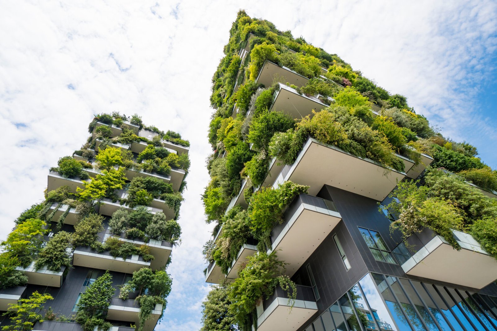 Green Building Practices: The Future of Sustainable Housing