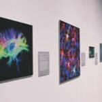 How to Curate Your Own Art Collection